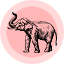 Mlavi wholesale animal themed vegan fashion accessories and gifts