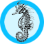 Mlavi wholesale coastal themed vegan fashion accessories and gifts