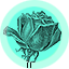 Mlavi wholesale flower themed vegan fashion accessories and gifts