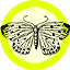 Mlavi wholesale insect themed vegan fashion accessories and gifts